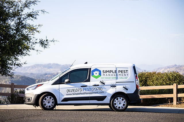 Pest control near Mission Valley