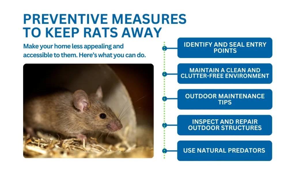 Preventive Measures to Keep Rats Away