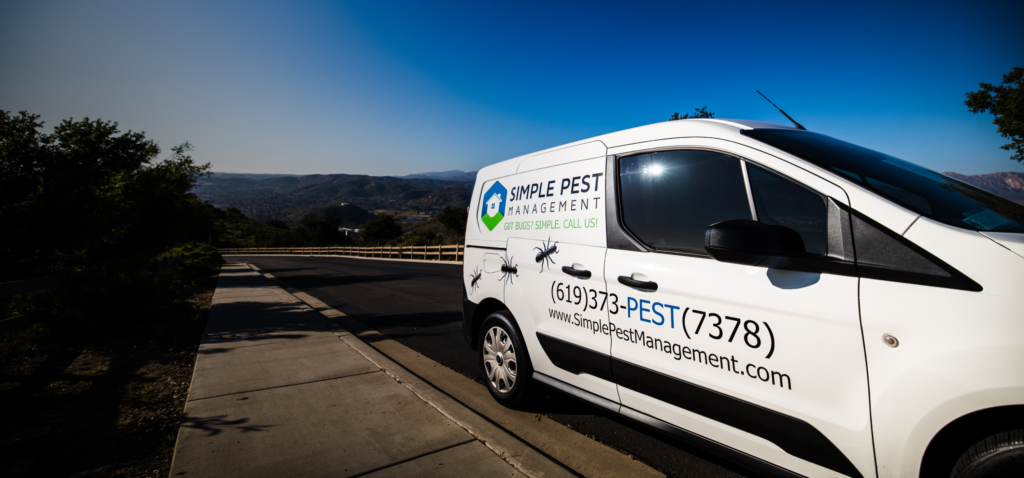 Simple Pest Management - Pest Control in San Diego