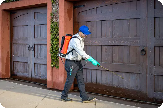 Exterminator spraying a liquid insecticide perimeter barrier to prevent home pest infestations.