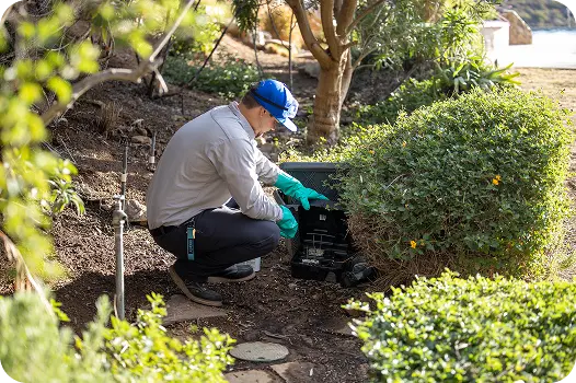 Pest control technician inspecting an outdoor rodent bait station hidden near backyard bushes.