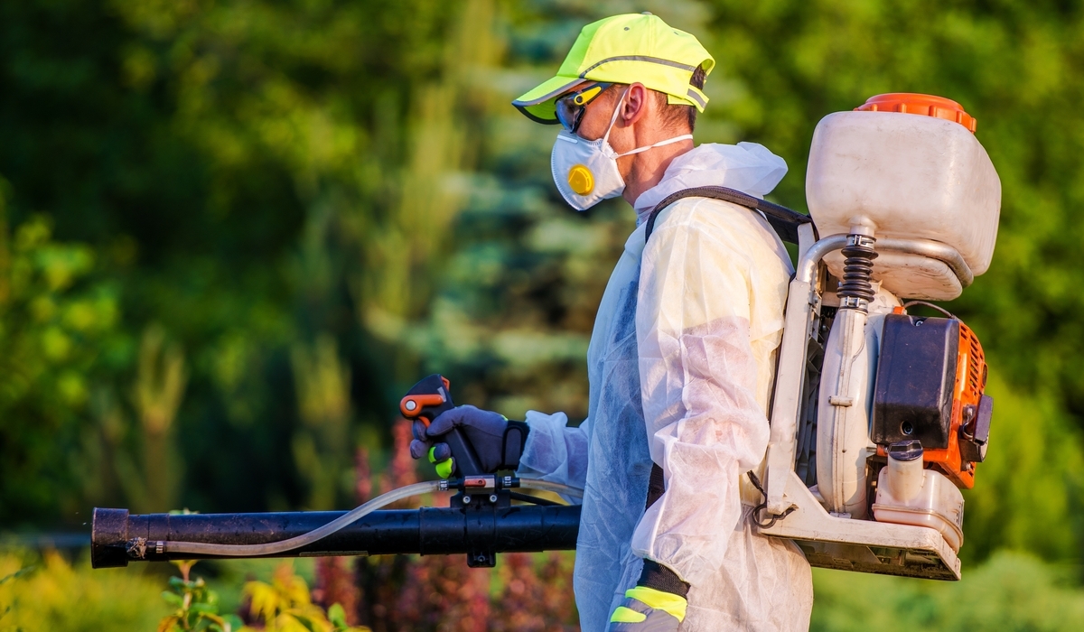 How Much Does Pest Control Cost in San Diego, CA? | Simple Pest Management