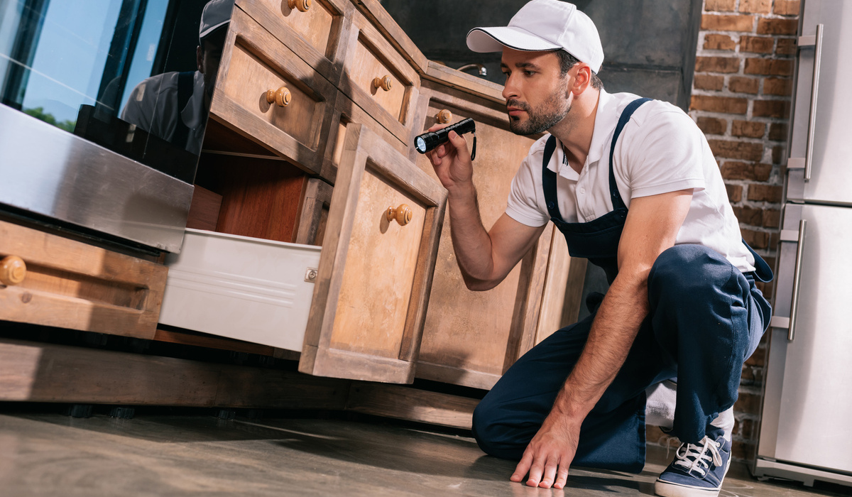 Is a Landlord Responsible for Pest Control in California? | Simple Pest  Management