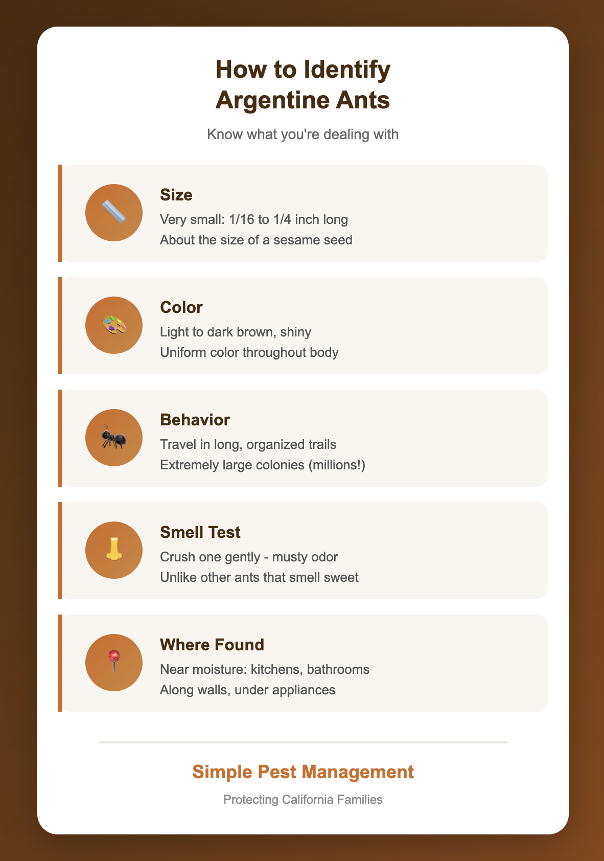 Guide for identifying Argentine ants