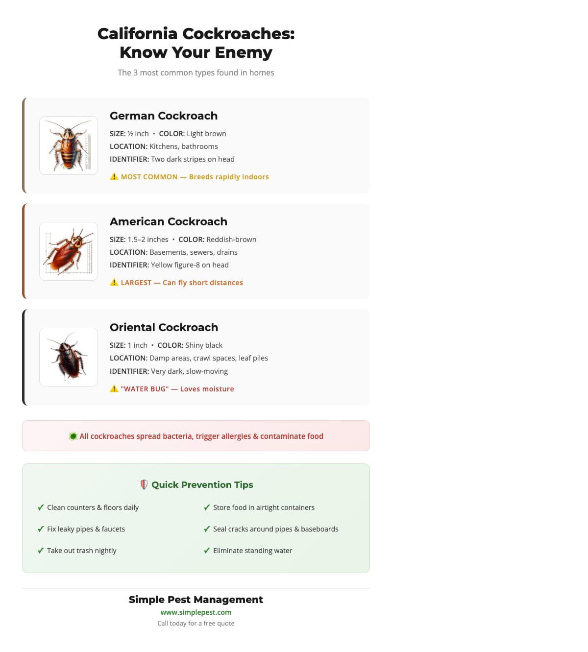 Types of cockroaches and prevention tips