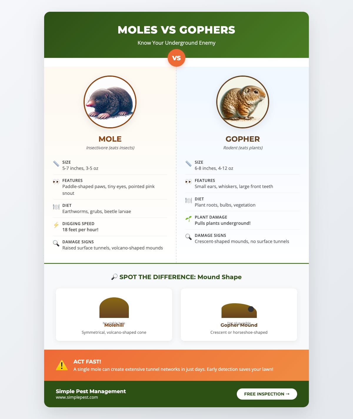 Comparison of moles and gophers