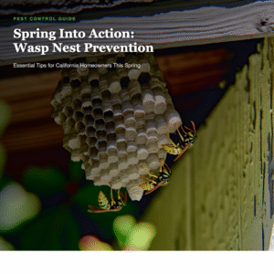 Wasp nest prevention tips for homeowners