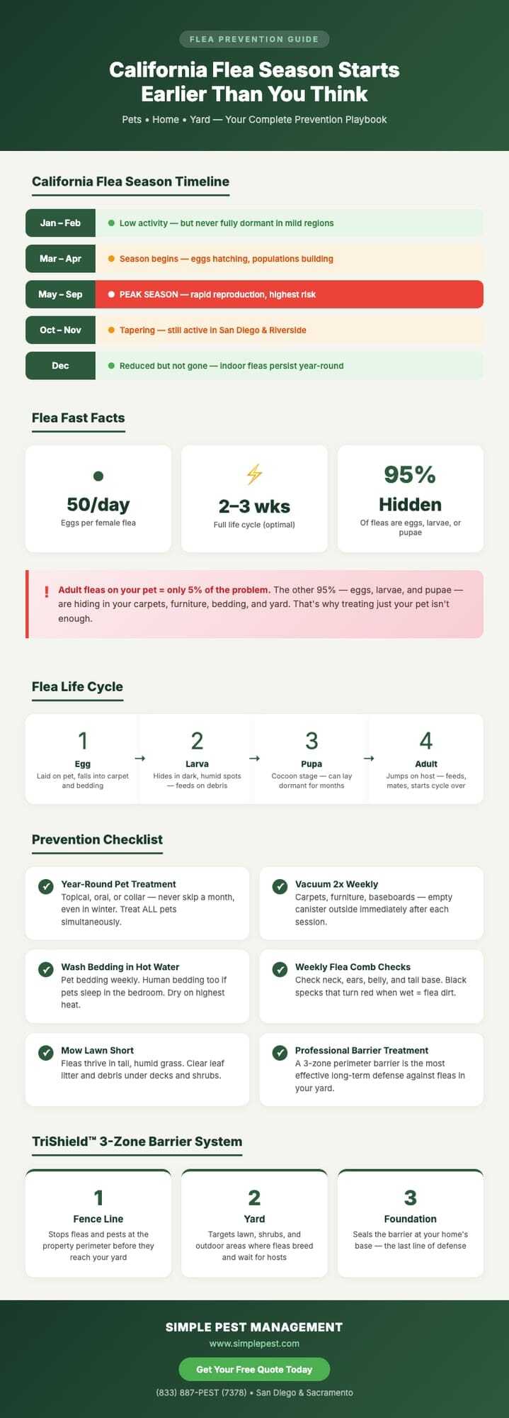 Flea prevention tips and timeline
