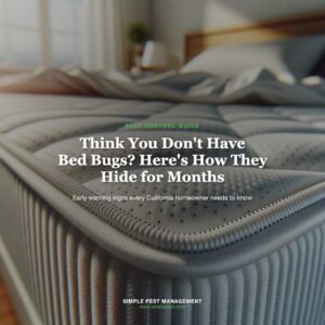 Mattress with pest control information