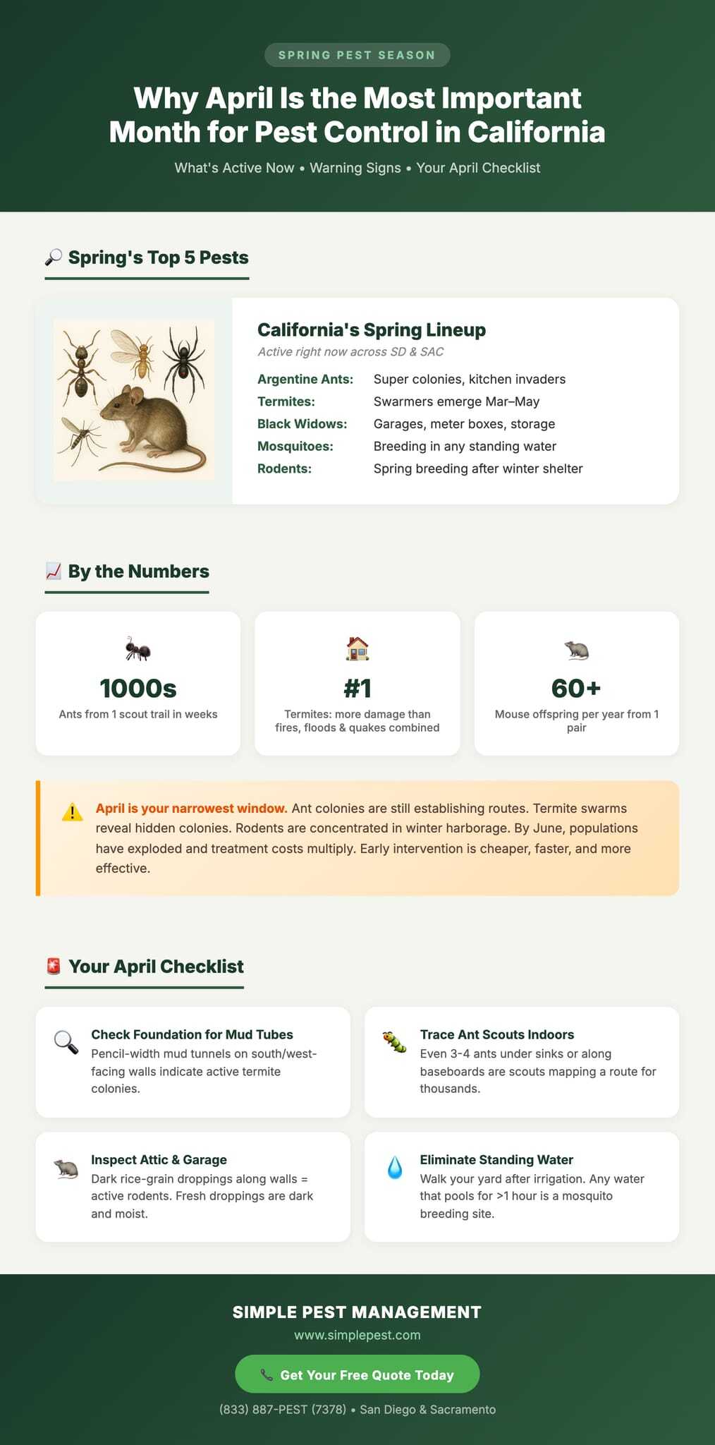 Pest control tips for April in California