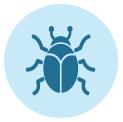 bed bug control