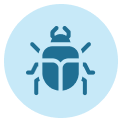 carpet beetle control