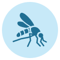 mosquito control