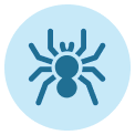 spider control