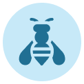 wasp control
