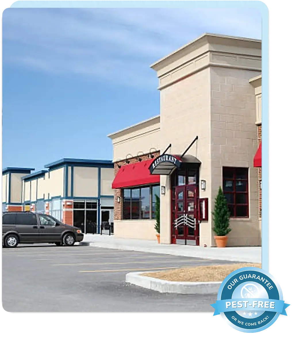 commercial pest control services