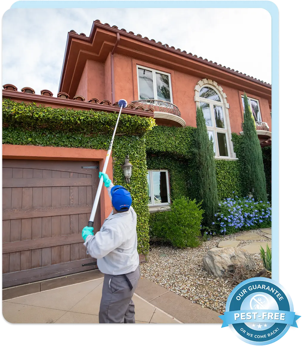 pest control services, pest free guarantee