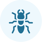 ant icon