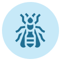 termite control