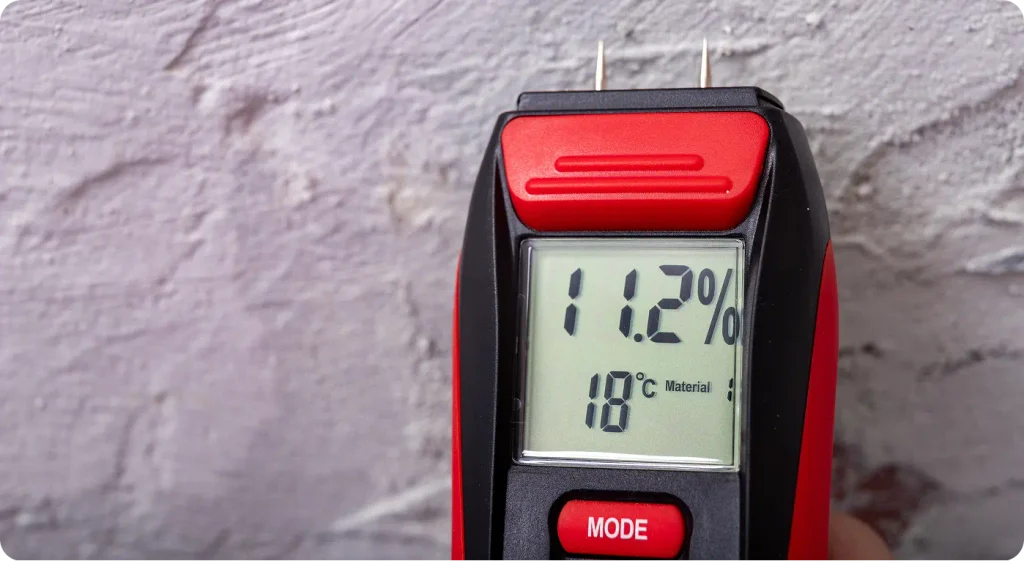 ster moisture measurement using an electronic meter. Measurements in the home workshop
