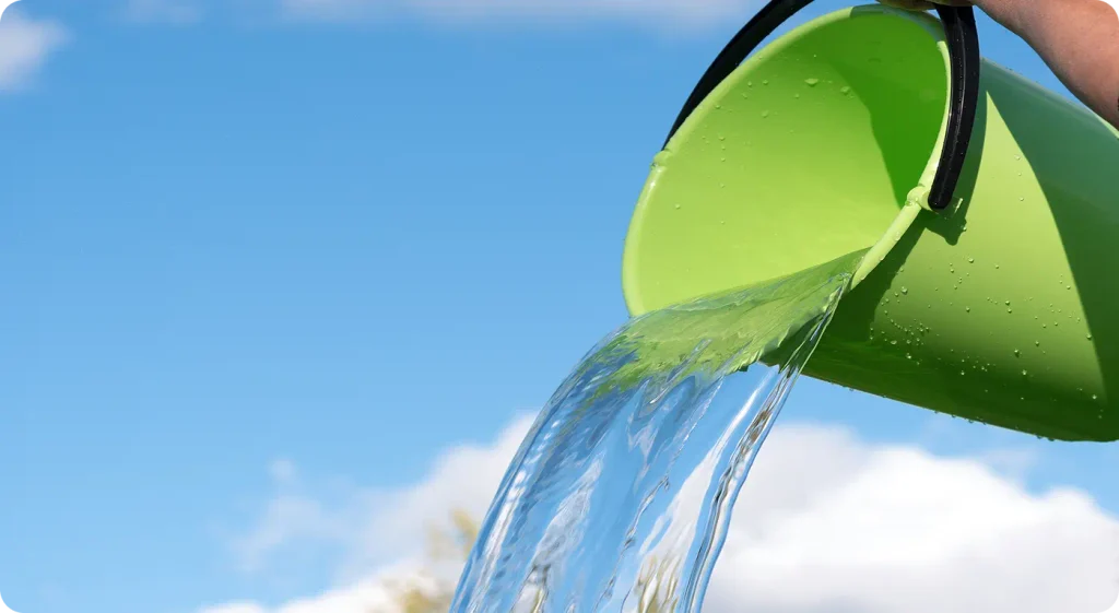 mosquito reduction by pouring standing water