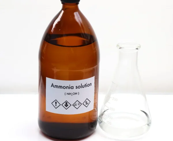 Will Ammonia Kill Rats? Here's What to Know | Simple Pest Management