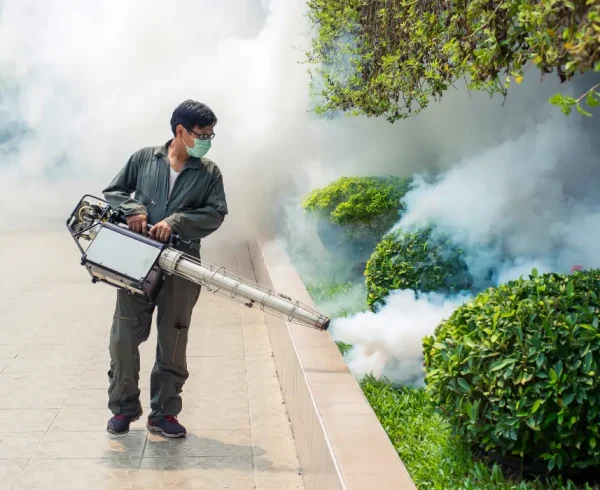 Man-work-fogging-to-eliminate-mosquito