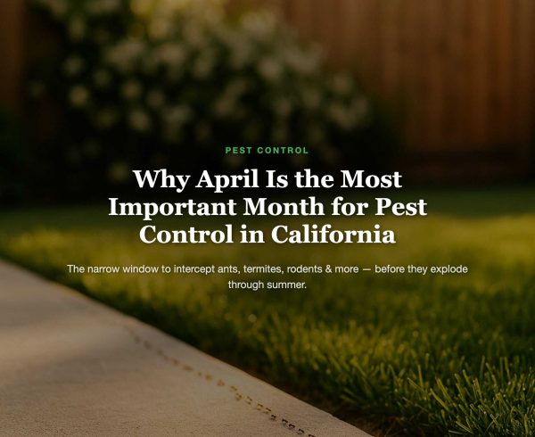 Pest control importance in April